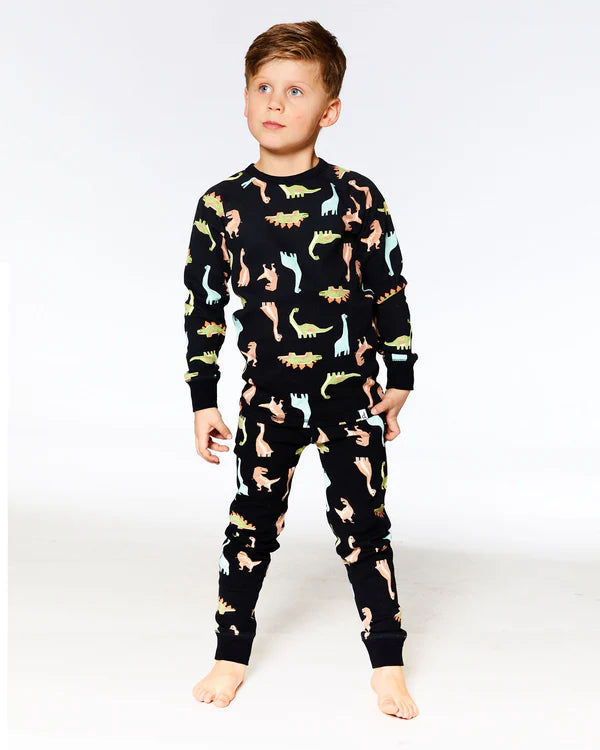 Pyjama deux pièces imprimé dinosaures F20PB15